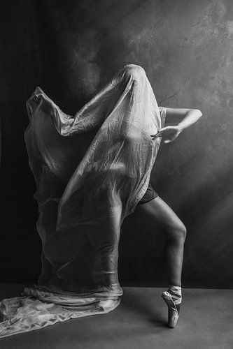 Artistiek dans pose zwart wit