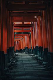 Fushiminari, Kyoto von Nico  Calandra