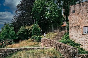 Bezoek aan het kasteel in Hirschhorn