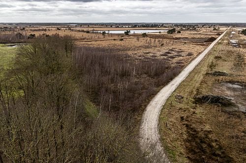 Verweven Paden - De Grote Peel's Vergezicht