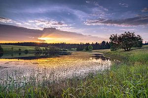 L'étang du marais sur Steffen Henze