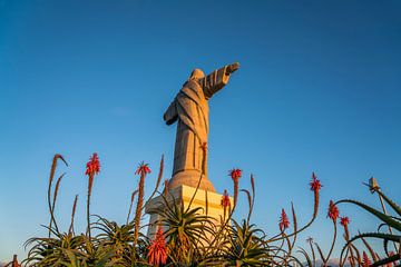 Cristo Rei Madeira van Peter Schickert