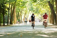 Man op racefiets door het Amsterdamse Vondelpark