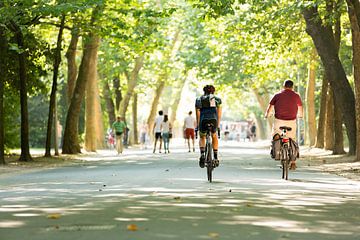 Man op racefiets door het Amsterdamse Vondelpark van Pixable