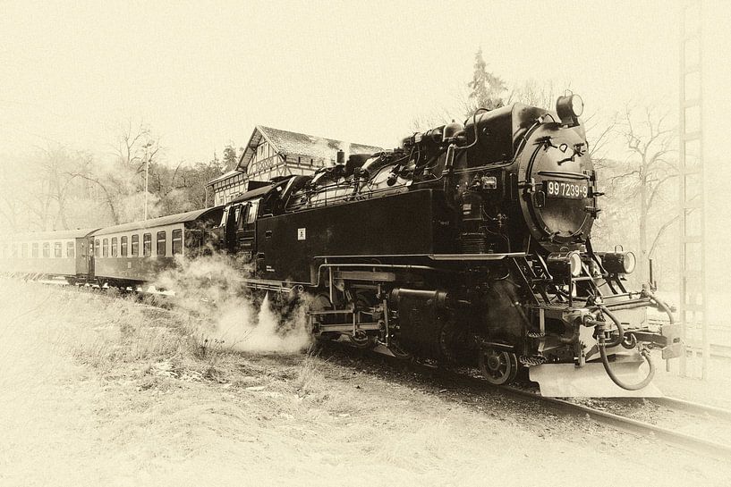 Stoomtreinen in de Harz, tijden van weleer herleven par Hans Brinkel