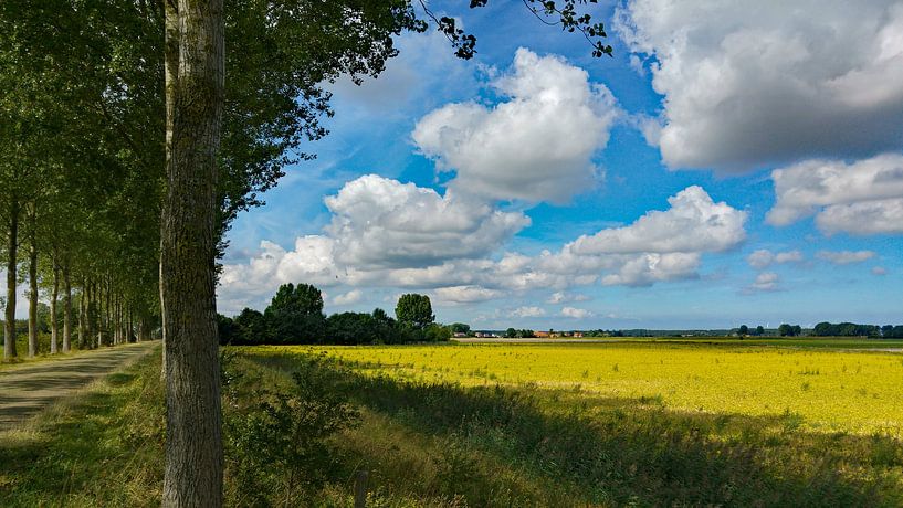 Oude weg tussen Biervliet en Driewegen met uitzicht op de Helena polder par Anne Hana
