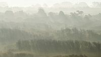 Mist tussen de heuvels van Marloes van Pareren thumbnail