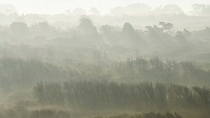 Nebel zwischen den Hügeln von Marloes van Pareren