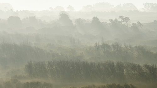 Brouillard entre les collines