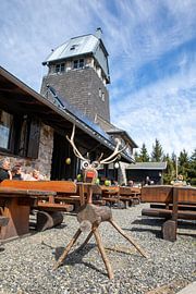 Hanskühnenburg in the Harz Mountains at Easter by t.ART