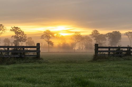 Mistige zonsopkomst boven het weiland achter een hek