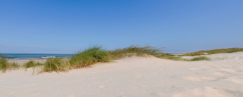 Dünen am Strand im Sommer von Sjoerd van der Wal Fotografie