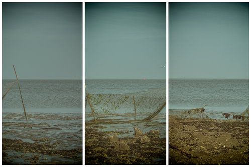 triptyque lauwersmeer 14