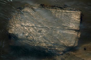 La dégradation et la survie du papier