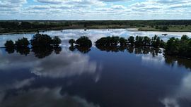 Die Flaes #4 von Marco van Loon