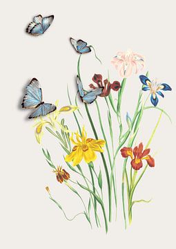 Flowers and butterflies met neutrale achtergrond, botanische prent van Studio Allee