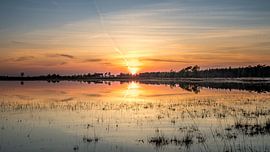 Verhungern von Harold van den Hurk