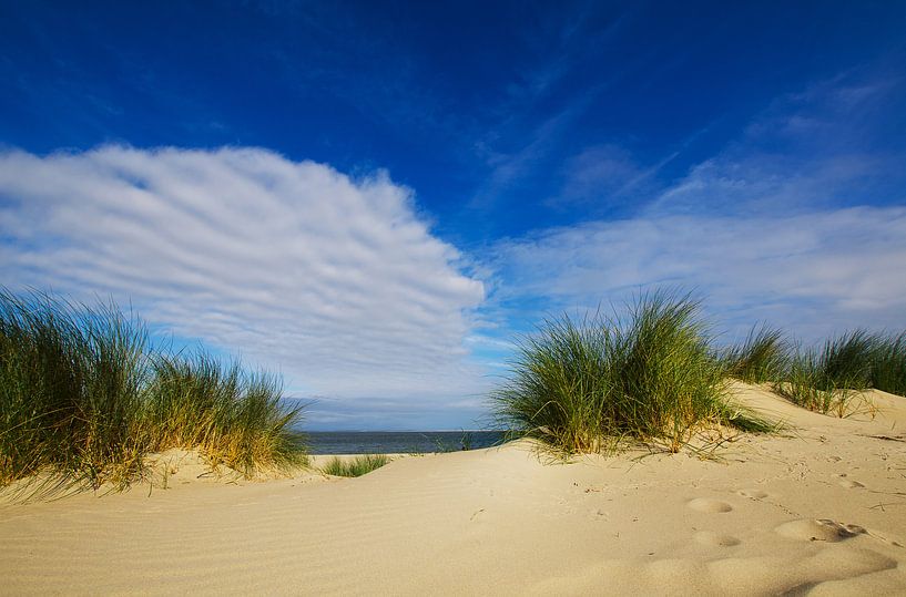 To the beach! by Wim van der Geest