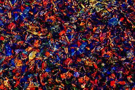 BLÄTTER 2 von Miroslav Ptacek