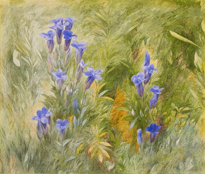 John Henry Hill~Gentians von finemasterpiece