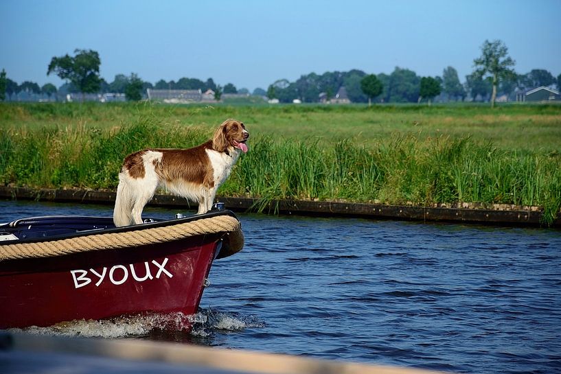 Hond op de &#039;Byoux&#039; van Frank's Awesome Travels