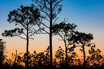 Zonsondergang in Florida van Part of the vision