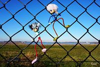 Fubby klettert auf einen Zaun.