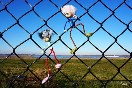 Fubby's climbing a fence.