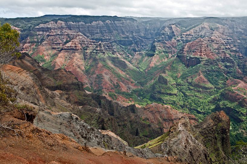 Waimea Canyon - Kauaʻi, Hawaii von t.ART