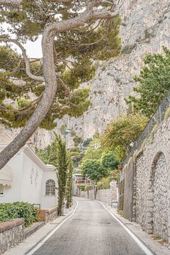 Straßen auf der Insel Capri - Reisefotografie in Italien von Henrike Schenk