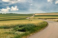 Winding Road van Arjen Roos thumbnail