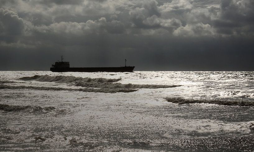 Vrachtschip voor de kust van Zoutelande van MSP Canvas