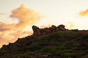 ruines de la mine d'or de bushiribana