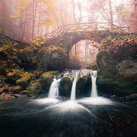 Triple Waterfall by Michel Nicolaes