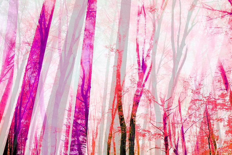 Forêt magique Pastel chaud par FRESH Fine Art