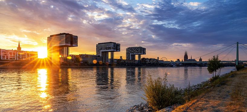 Cologne skyline at sunset by Frank Herrmann