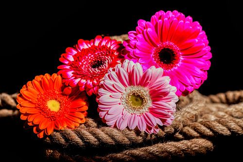 Bloemen op zwarte achtergrond