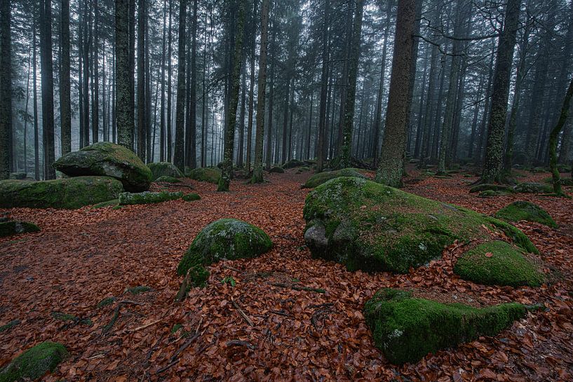 Allemagne - Forêt Noire - Günterfelsen par Shooting-Art