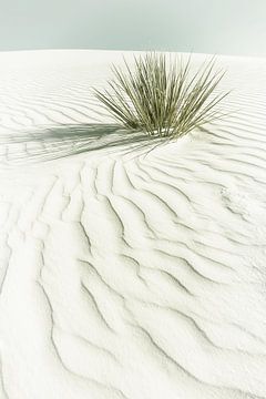 Duinen, White Sands National Monument  | Vintage van Melanie Viola