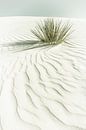 Dünen, White Sands National Monument | Vintage von Melanie Viola Miniaturansicht