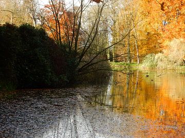 spiegeling in het water met herfstkleuren van Joke te Grotenhuis