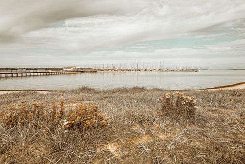 Natuurlijk strand, haven en zee