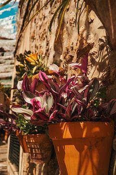 Valldemossa - Mallorca - Espagne