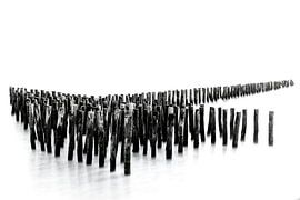 Anchored in time by Gerry van Roosmalen