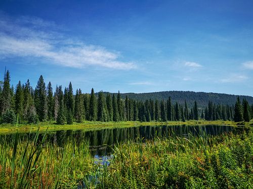 Alice lake in Wells Grey Provincial Park
