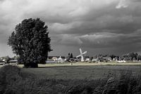 Eternal watchman in black and white - grass in the light