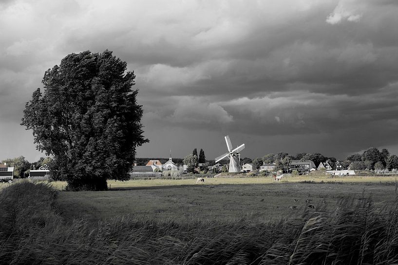 Eternal watchman in black and white - grass in the light by Masterpiece Living