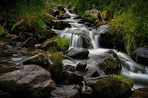 Stampfebächle – Sanfte Kaskaden Wasserfälle in Münstertal - 11