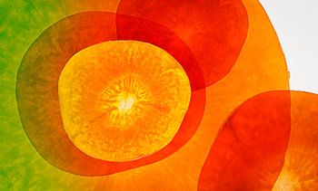 Lichtzauber - Karotte