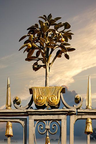 Goldener Wächter des Anwesens - Symbolik in Eisen und Blattgold von Saranda in 't Veld Fotografie